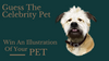 Competition: Guess the Celebrity Pet - Week 3, 2021