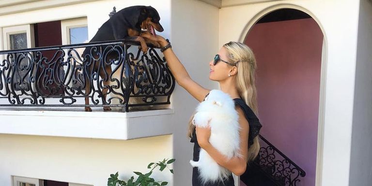 Paris Hilton's Doggie Mansion Cost How Much?