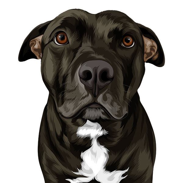 prompthunt: a beautiful digital painting of a dog detailed having