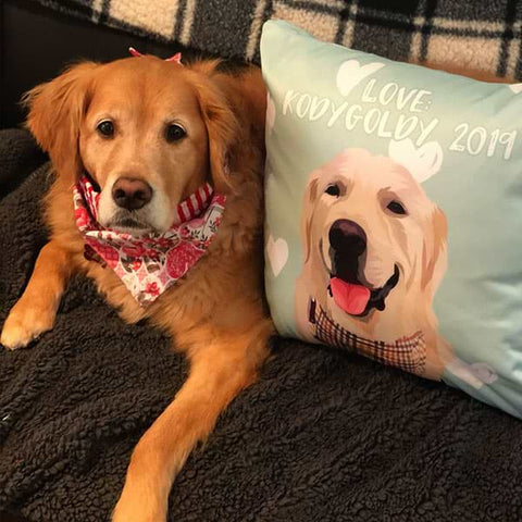 Image of ▶ Custom Pet Pillow (with Cover)